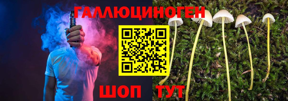 Псилоцибиновые грибы мицелий  Псилоцибиновые грибы мицелий  Луховицы  Вход с VPN 